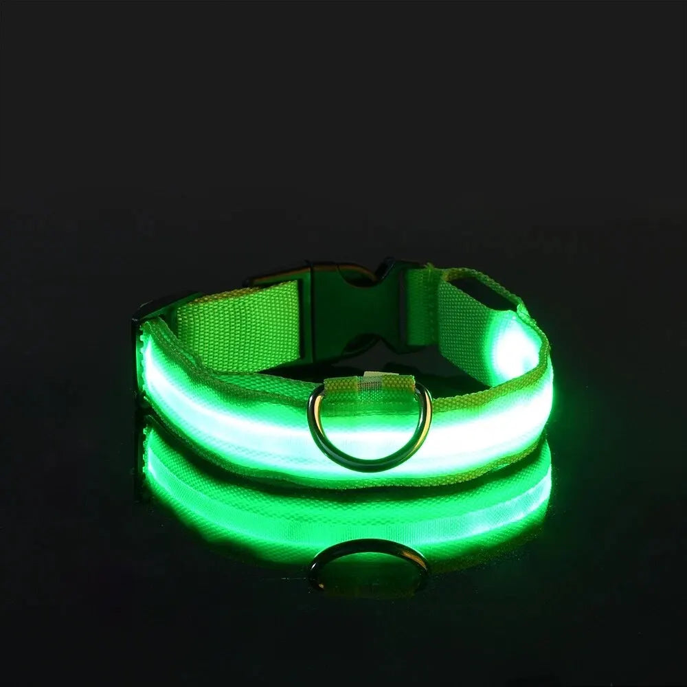 LAISSE POUR CHIEN FLUORESCENTE