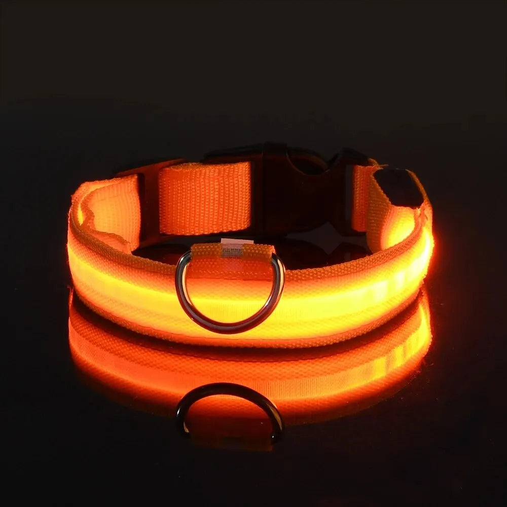 LAISSE POUR CHIEN FLUORESCENTE