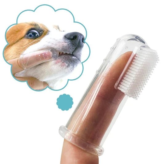 Brosse à dents pour animal de compagnie