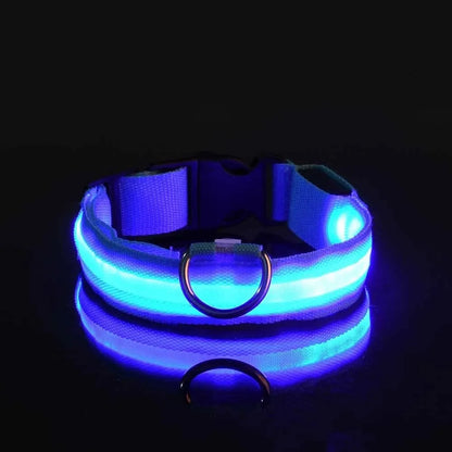 LAISSE POUR CHIEN FLUORESCENTE