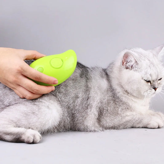 Brosse à eau pour animal de compagnie