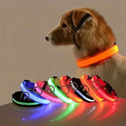 LAISSE POUR CHIEN FLUORESCENTE