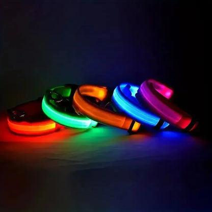 LAISSE POUR CHIEN FLUORESCENTE